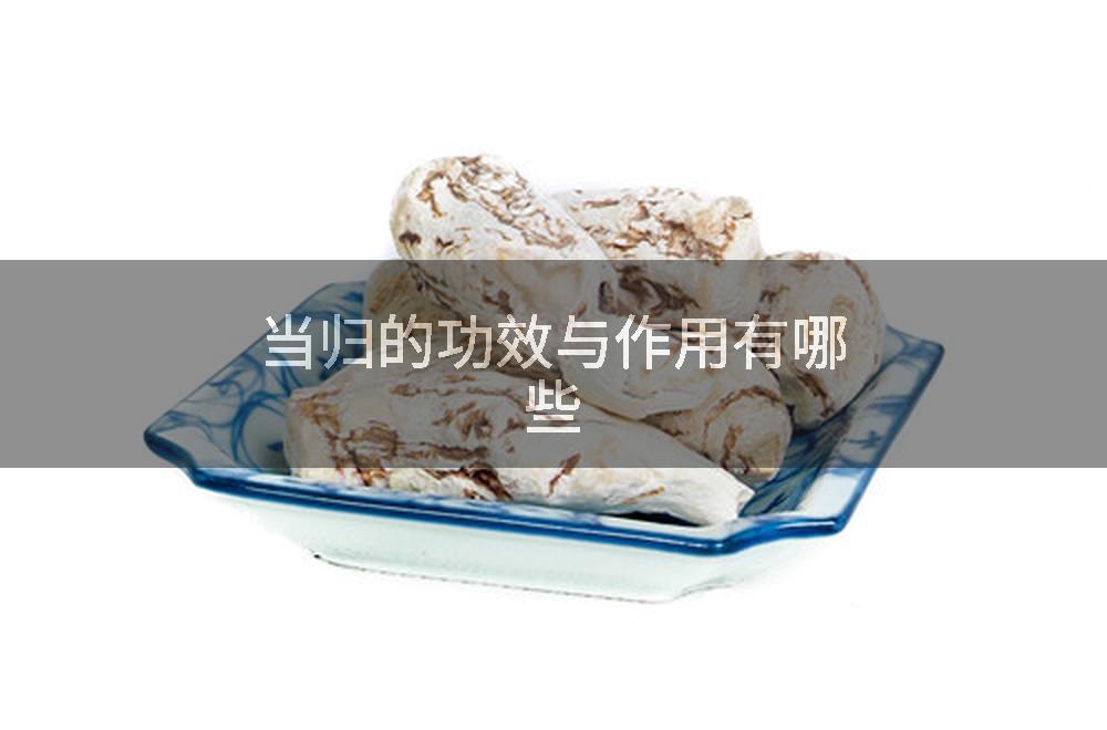 当归的功效与作用有哪些
