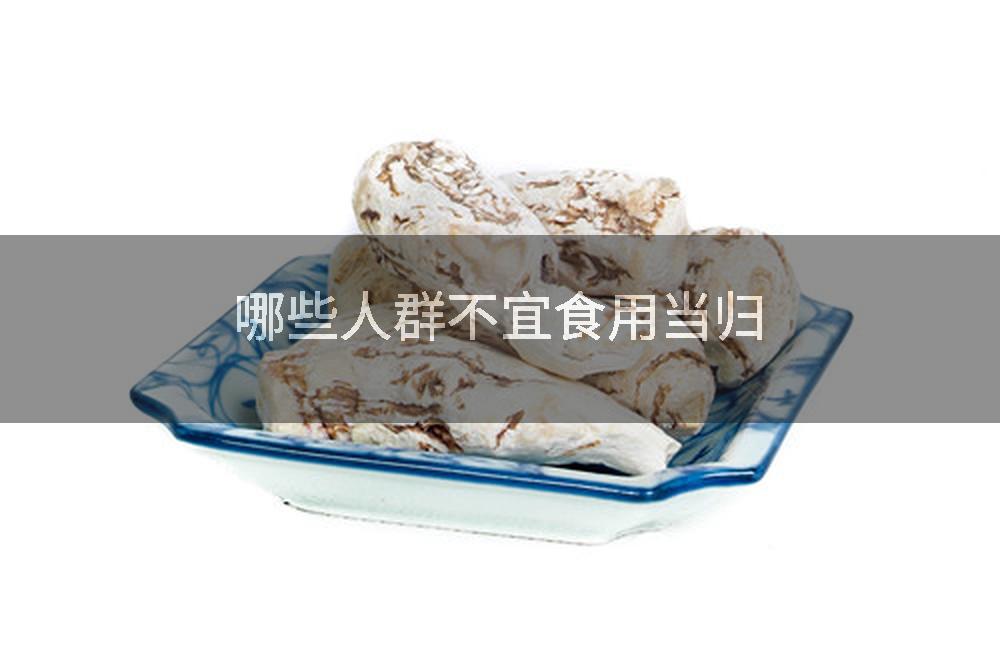 哪些人群不宜食用当归