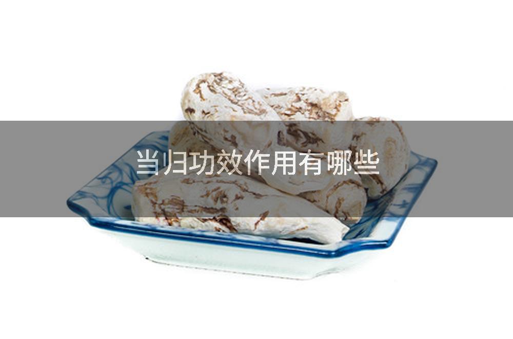 当归功效作用有哪些