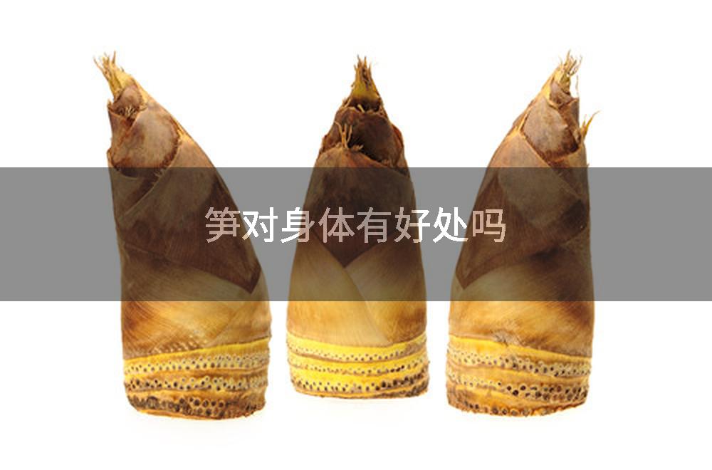 笋对身体有好处吗
