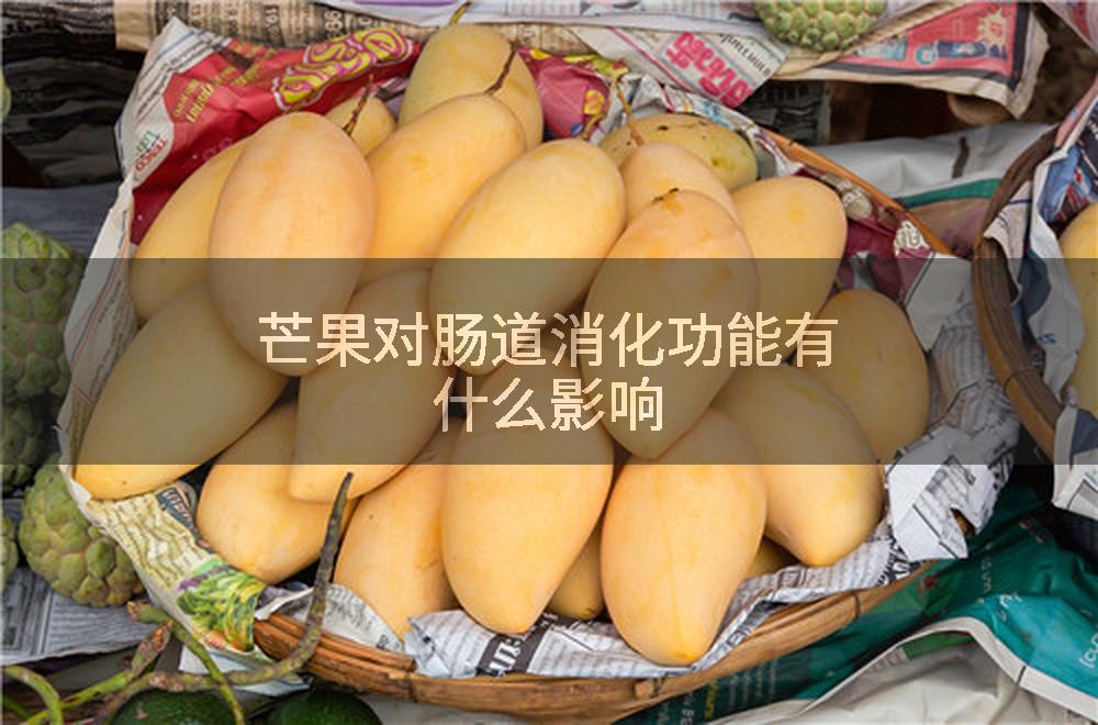 芒果对肠道消化功能有什么影响