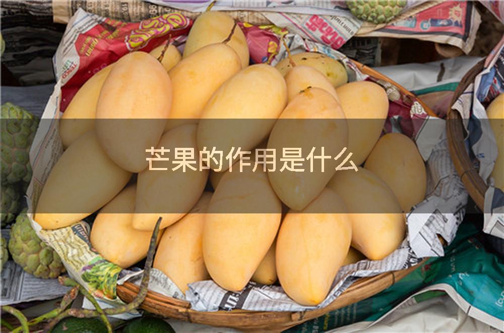 芒果的作用是什么