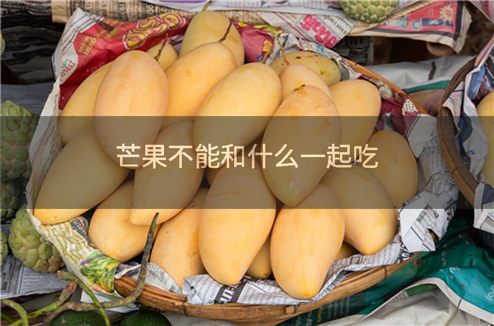 芒果不能和什么一起吃