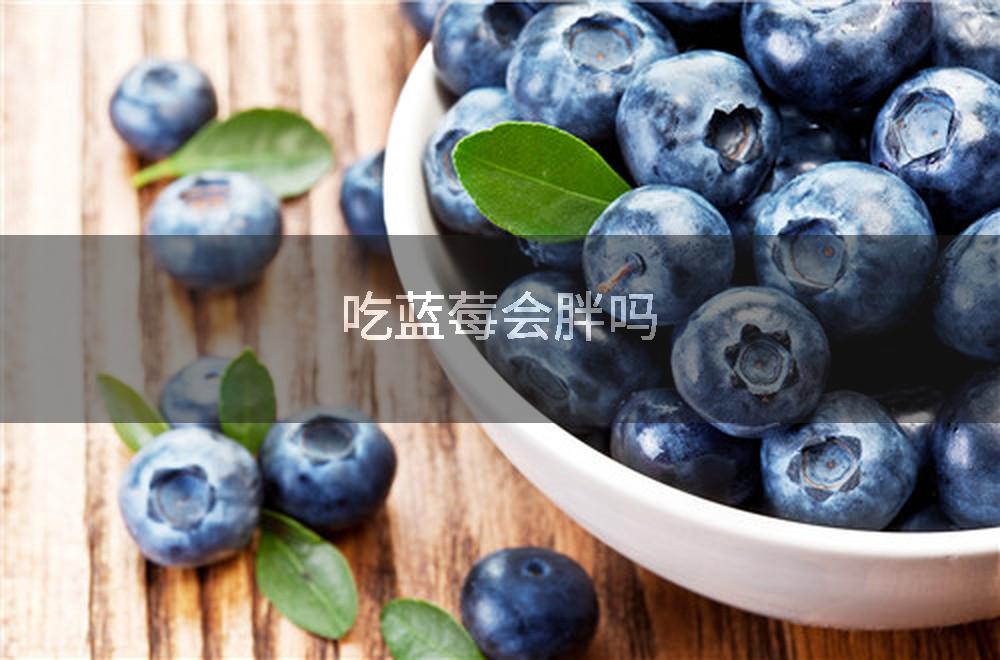 吃蓝莓会胖吗
