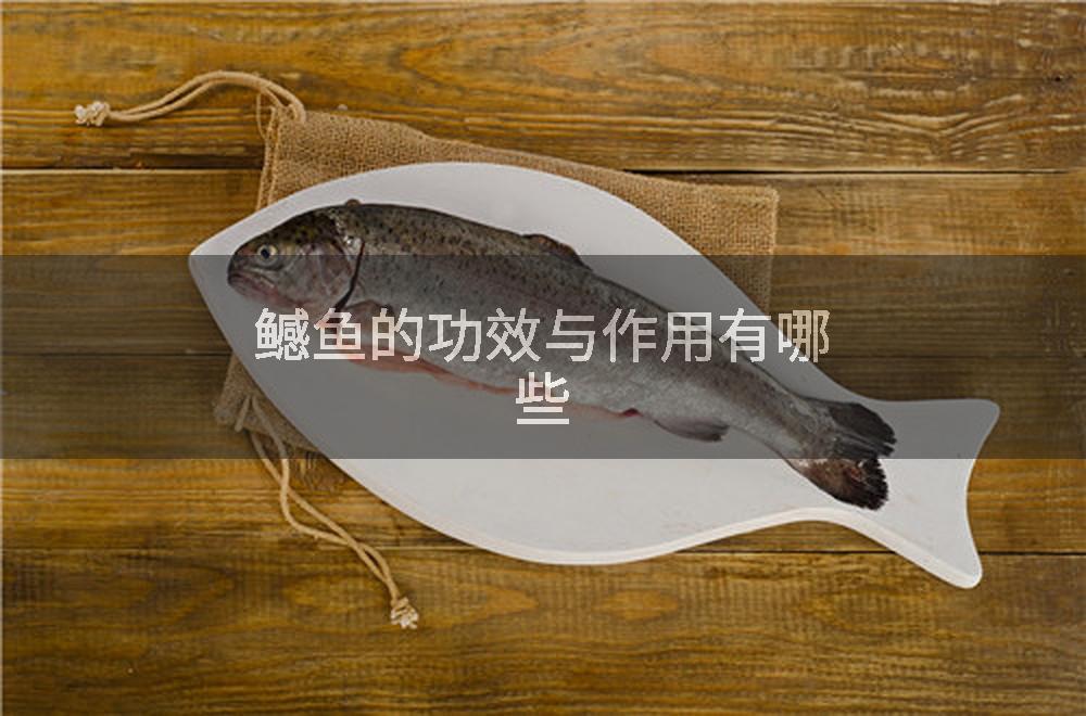 鳡鱼的功效与作用有哪些