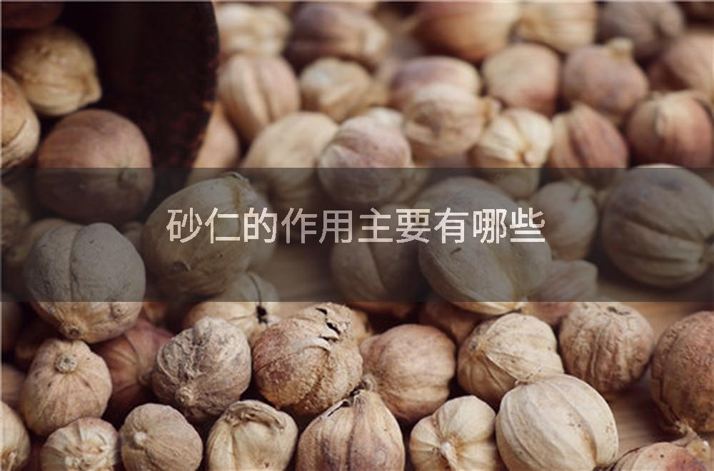 砂仁的作用主要有哪些