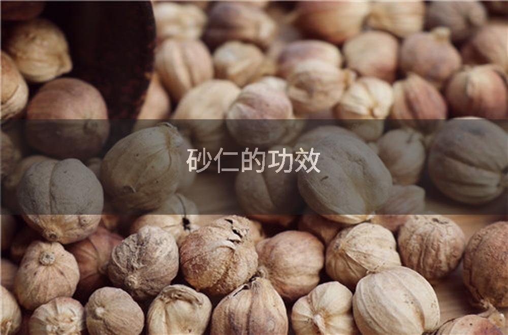 砂仁的功效