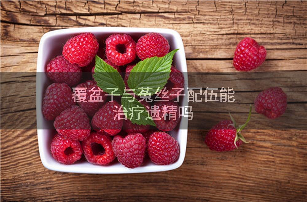 覆盆子与菟丝子配伍能治疗遗精吗