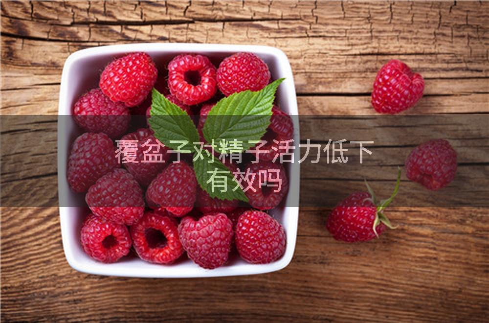 覆盆子对精子活力低下有效吗