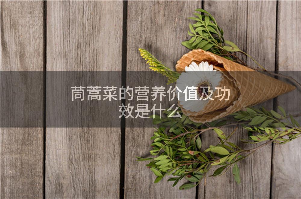 茼蒿菜的营养价值及功效是什么