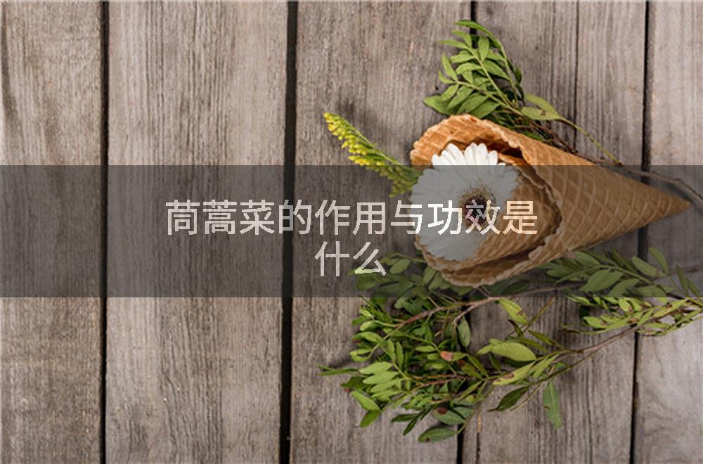 茼蒿菜的作用与功效是什么