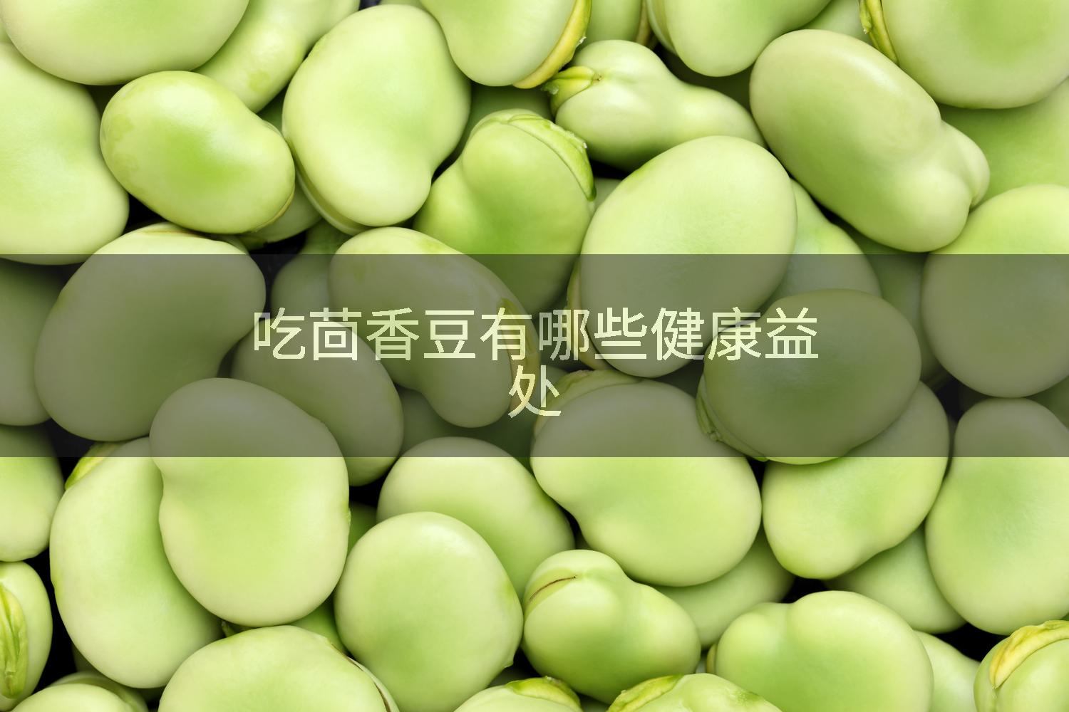 吃茴香豆有哪些健康益处