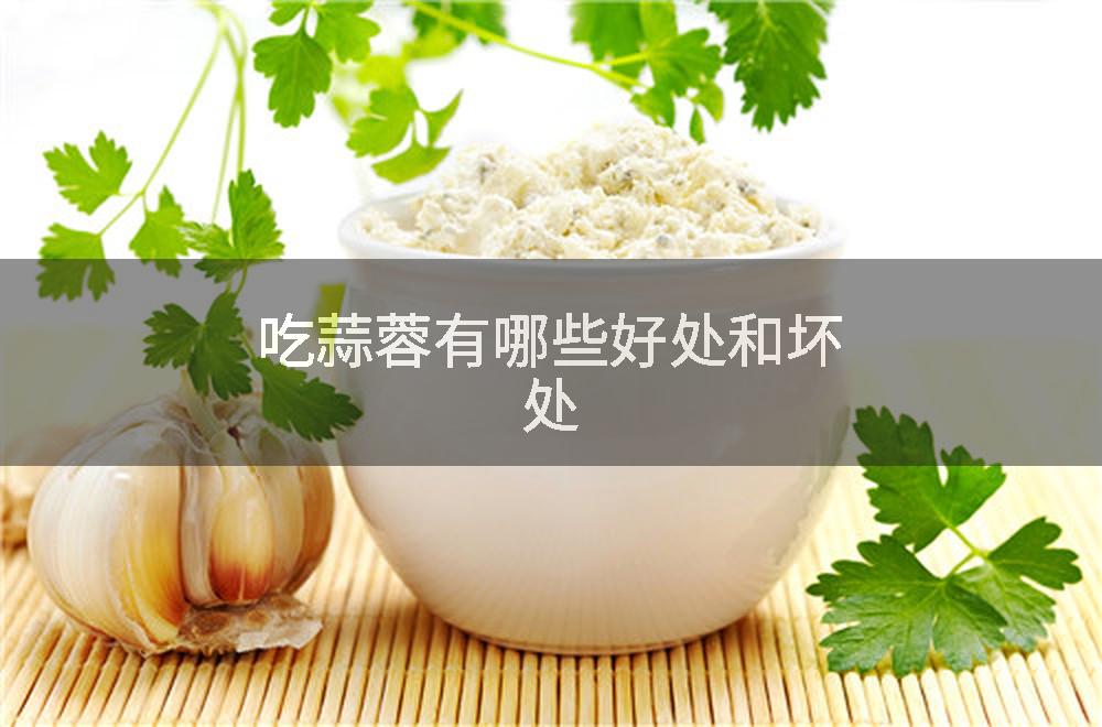 吃蒜蓉有哪些好处和坏处