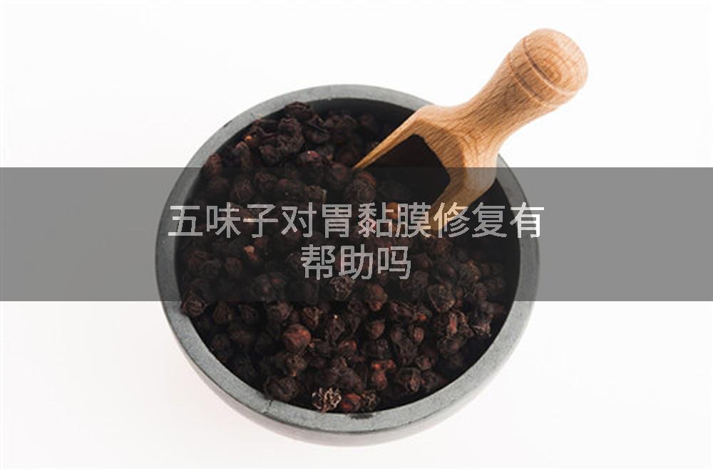 五味子对胃黏膜修复有帮助吗