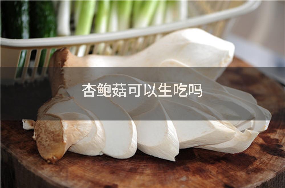 杏鲍菇可以生吃吗