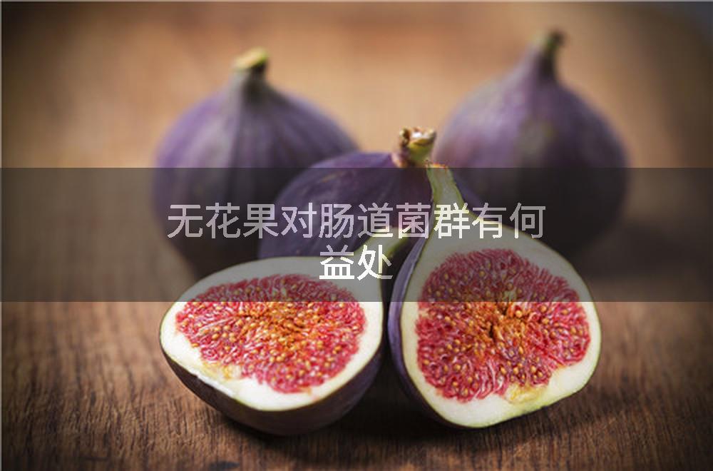 无花果对肠道菌群有何益处