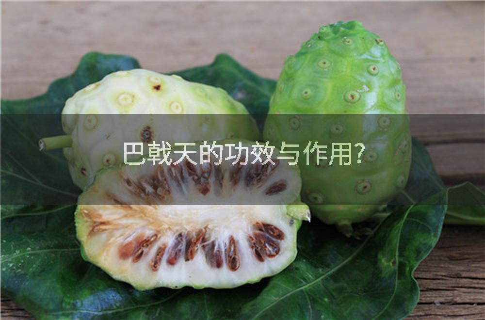 巴戟天的功效与作用?