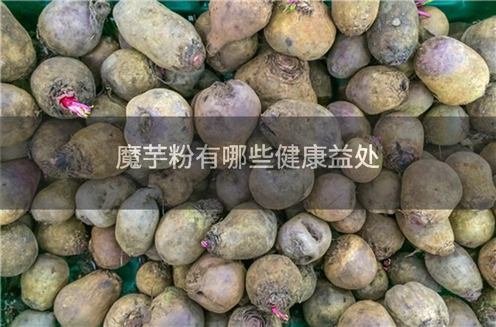 魔芋粉有哪些健康益处