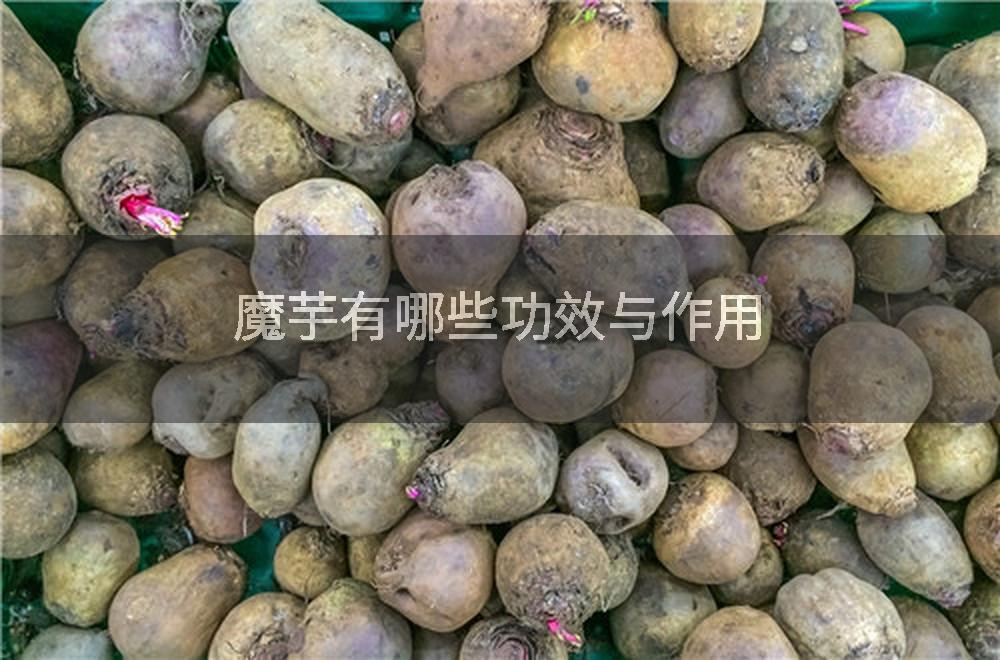 魔芋有哪些功效与作用