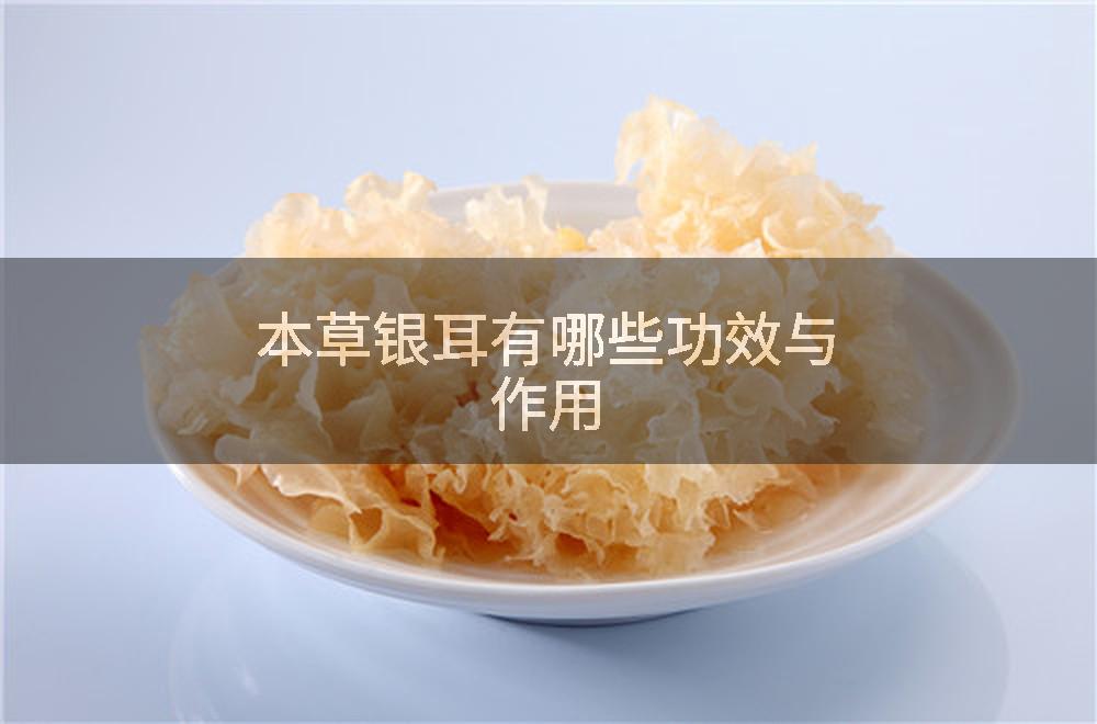 本草银耳有哪些功效与作用