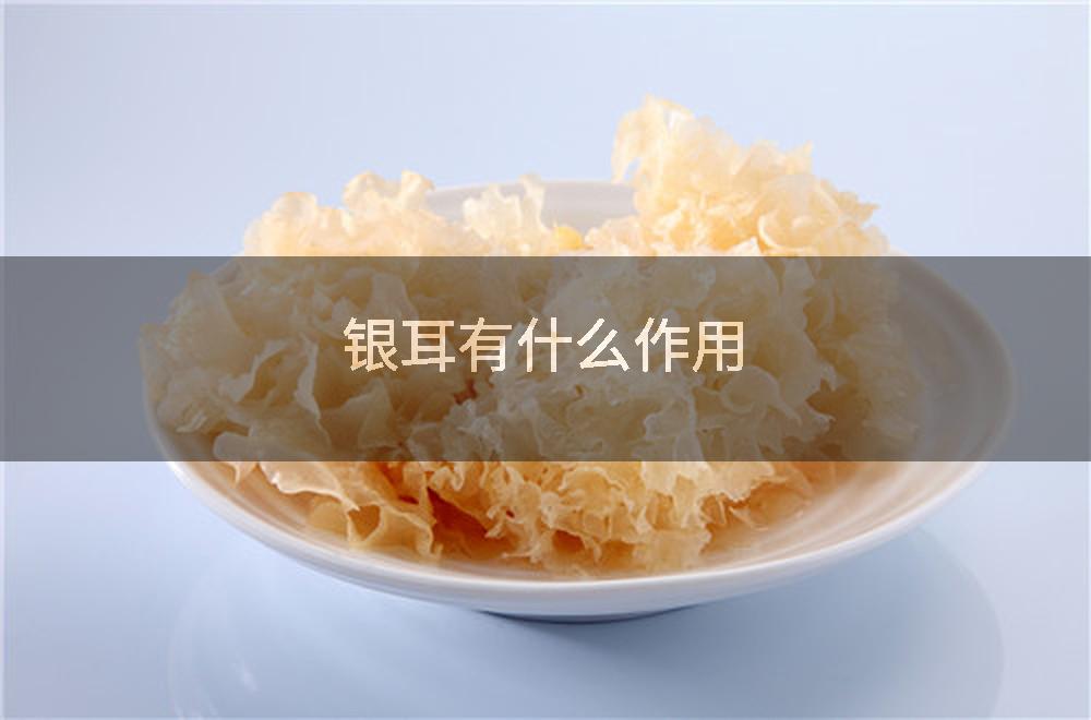 银耳有什么作用
