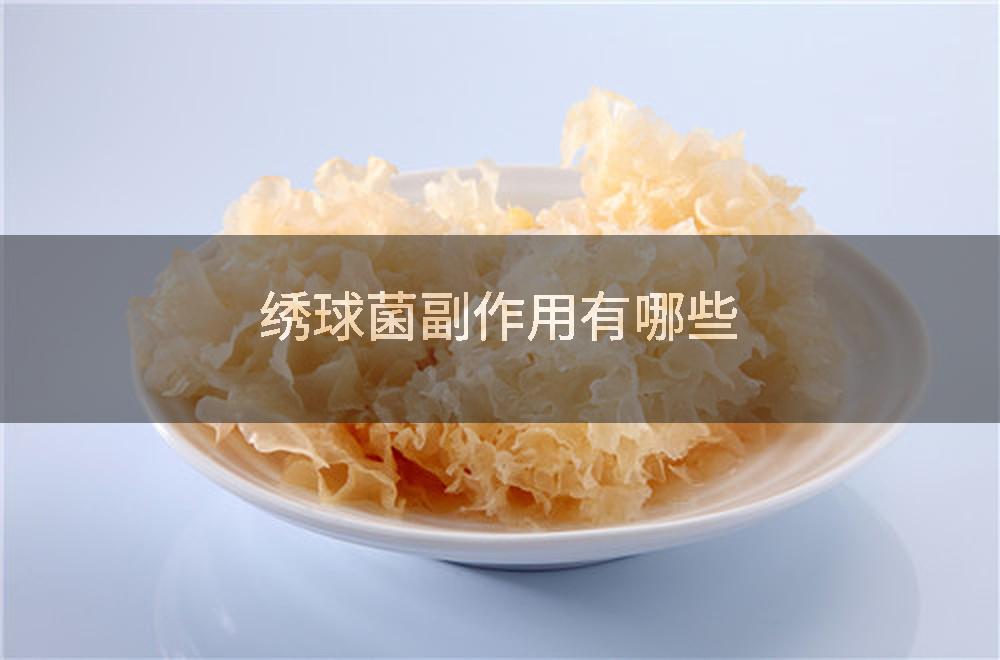 绣球菌副作用有哪些