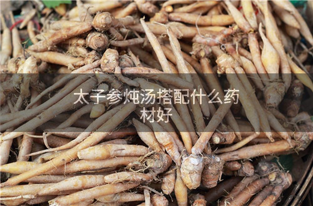 太子参炖汤搭配什么药材好