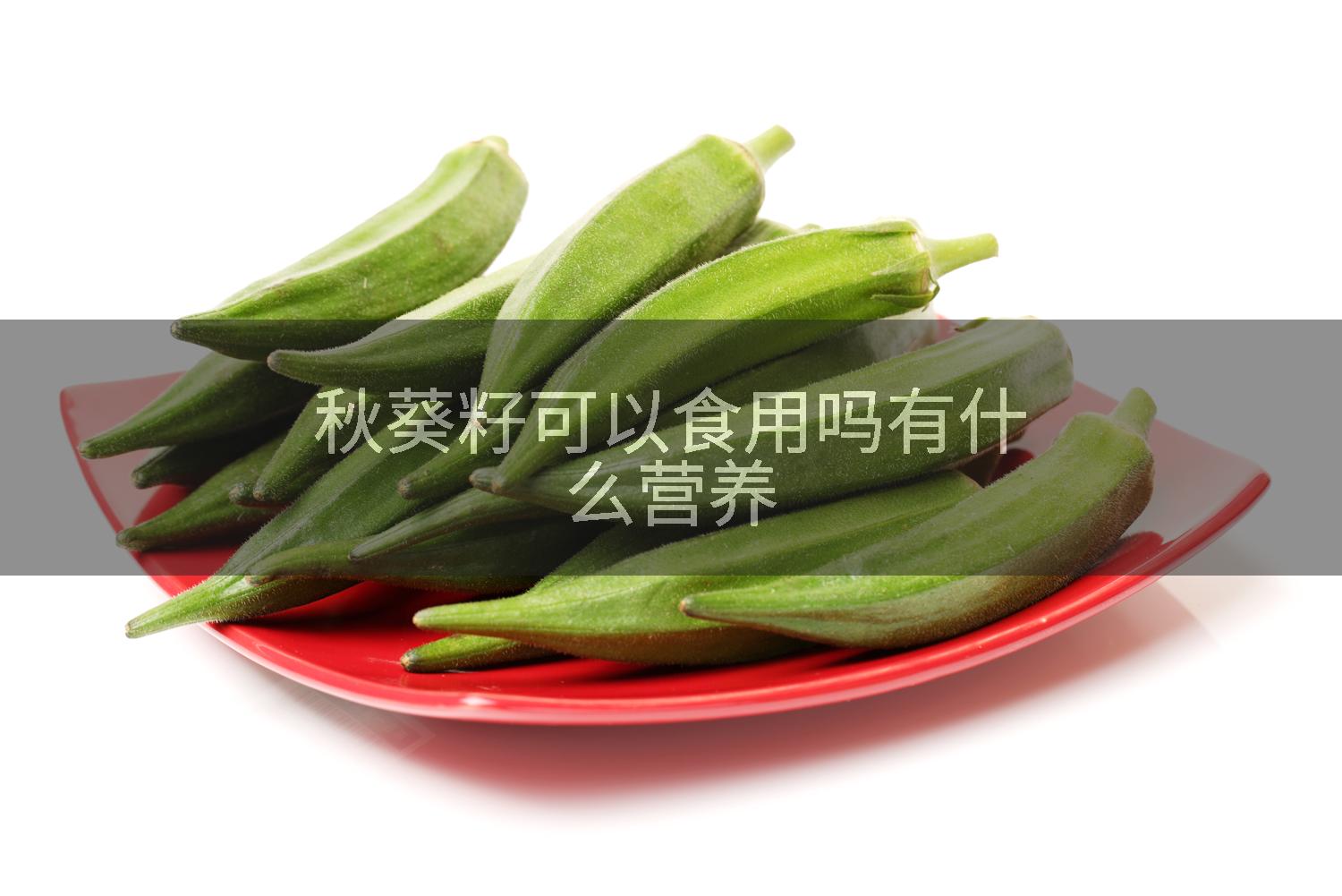 秋葵籽可以食用吗有什么营养