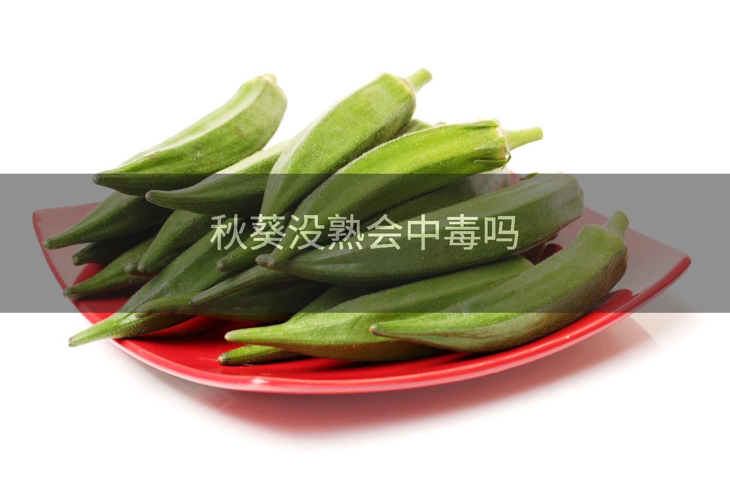 秋葵没熟会中毒吗