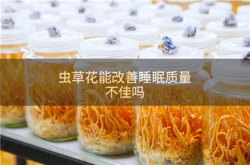 虫草花能改善睡眠质量不佳吗