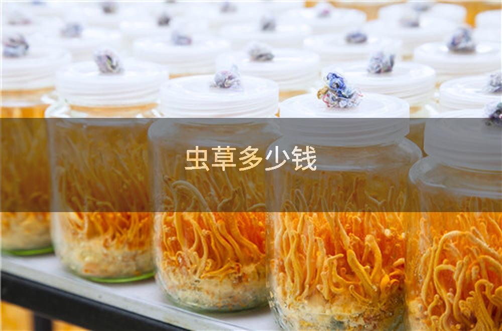 虫草多少钱