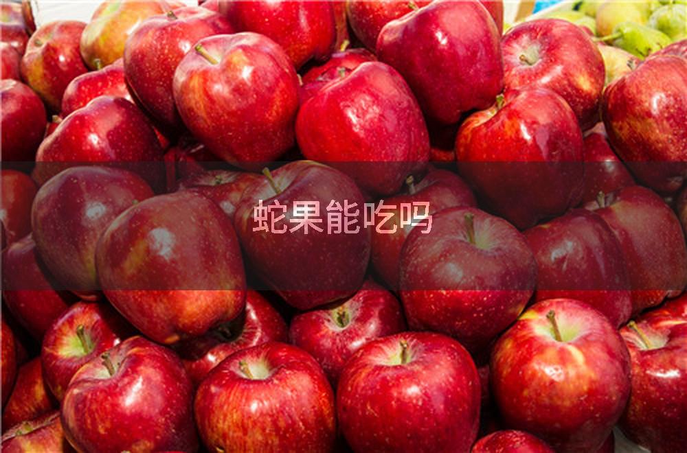 蛇果能吃吗