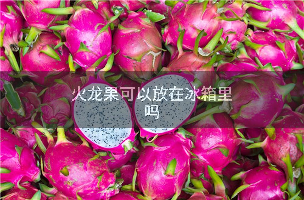 火龙果可以放在冰箱里吗
