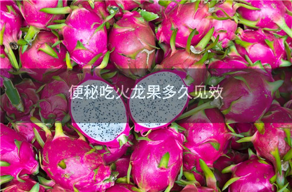 便秘吃火龙果多久见效