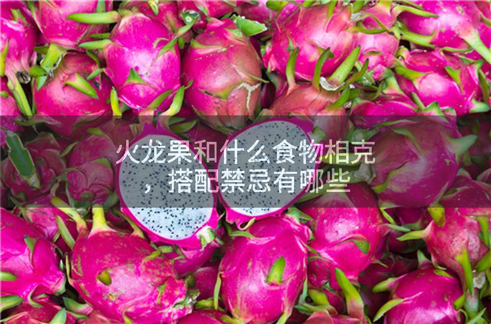 火龙果和什么食物相克，搭配禁忌有哪些