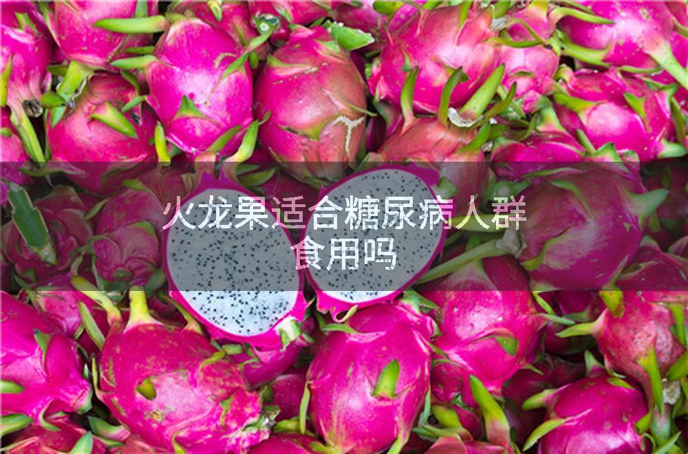 火龙果适合糖尿病人群食用吗