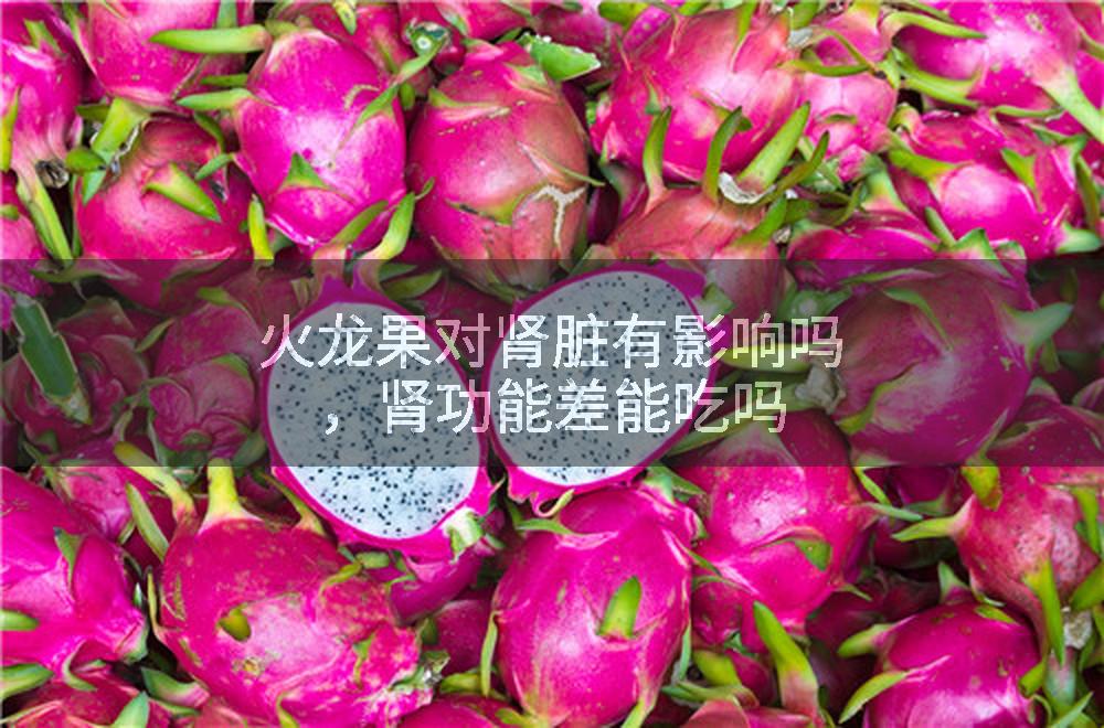 火龙果对肾脏有影响吗，肾功能差能吃吗