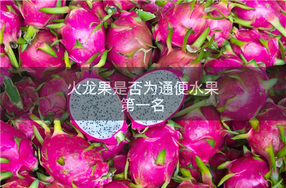 火龙果是否为通便水果第一名