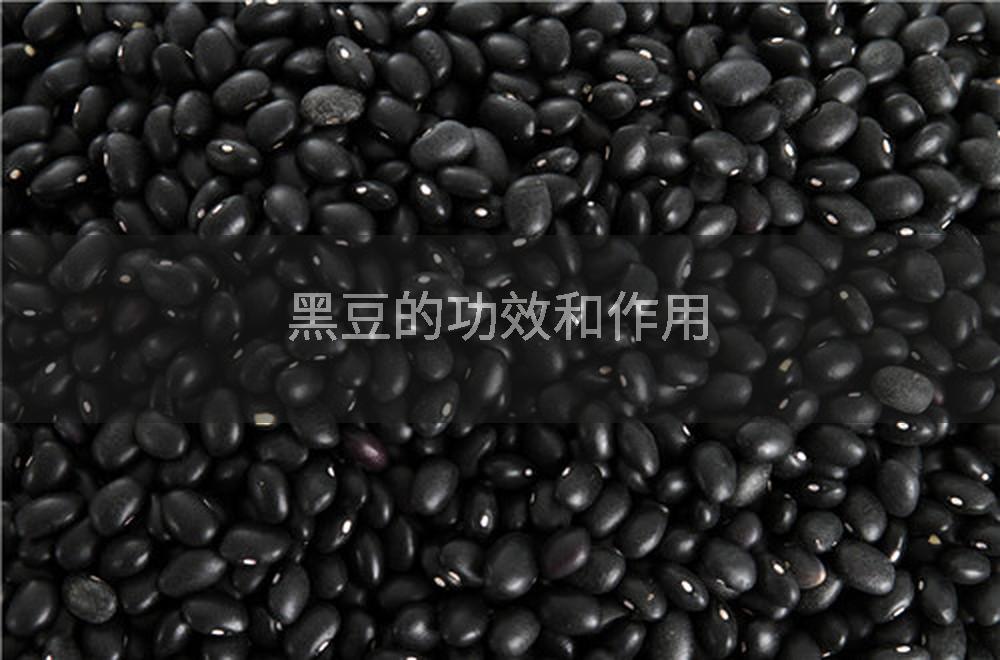 黑豆的功效和作用