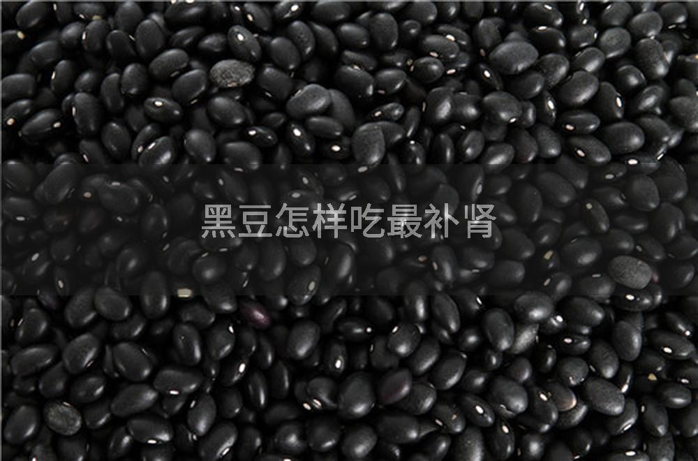黑豆怎样吃最补肾