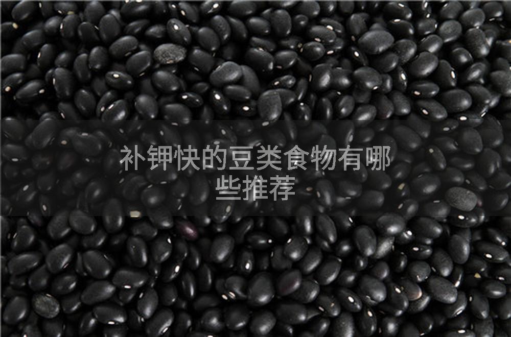 补钾快的豆类食物有哪些推荐