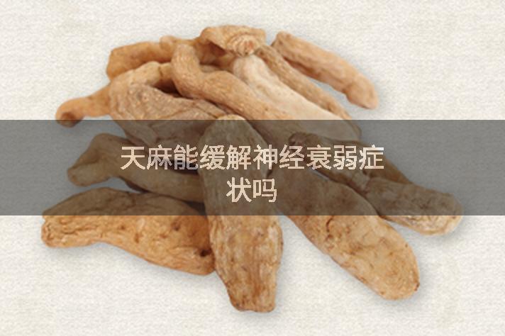 天麻能缓解神经衰弱症状吗