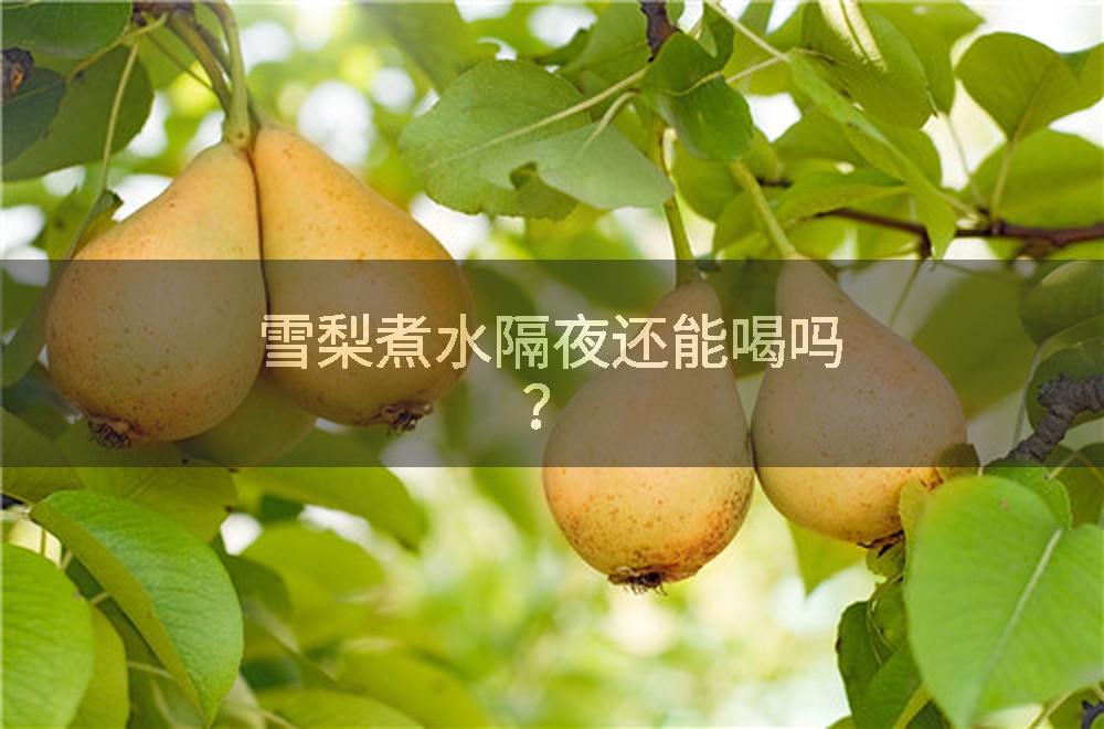 雪梨煮水隔夜还能喝吗？