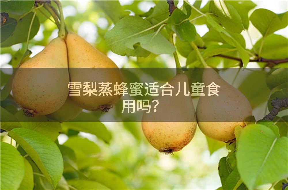 雪梨蒸蜂蜜适合儿童食用吗？