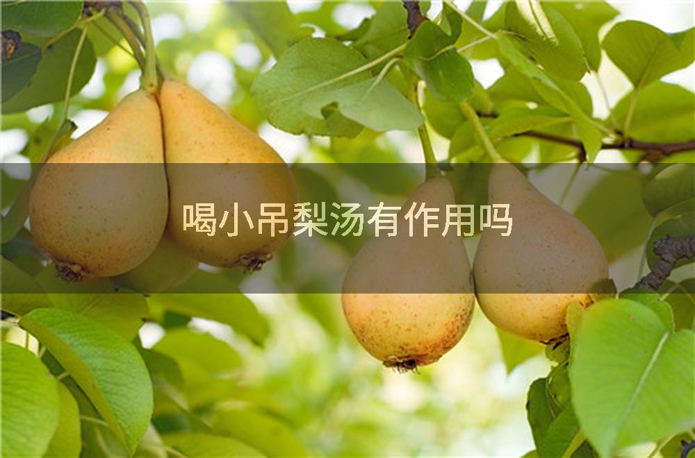 喝小吊梨汤有作用吗