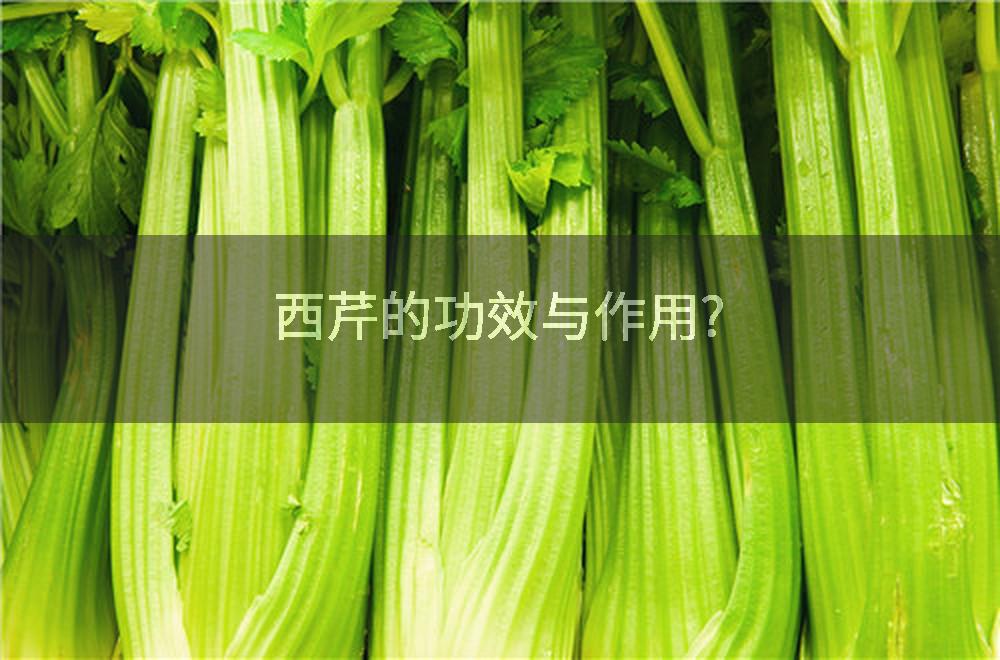 西芹的功效与作用?
