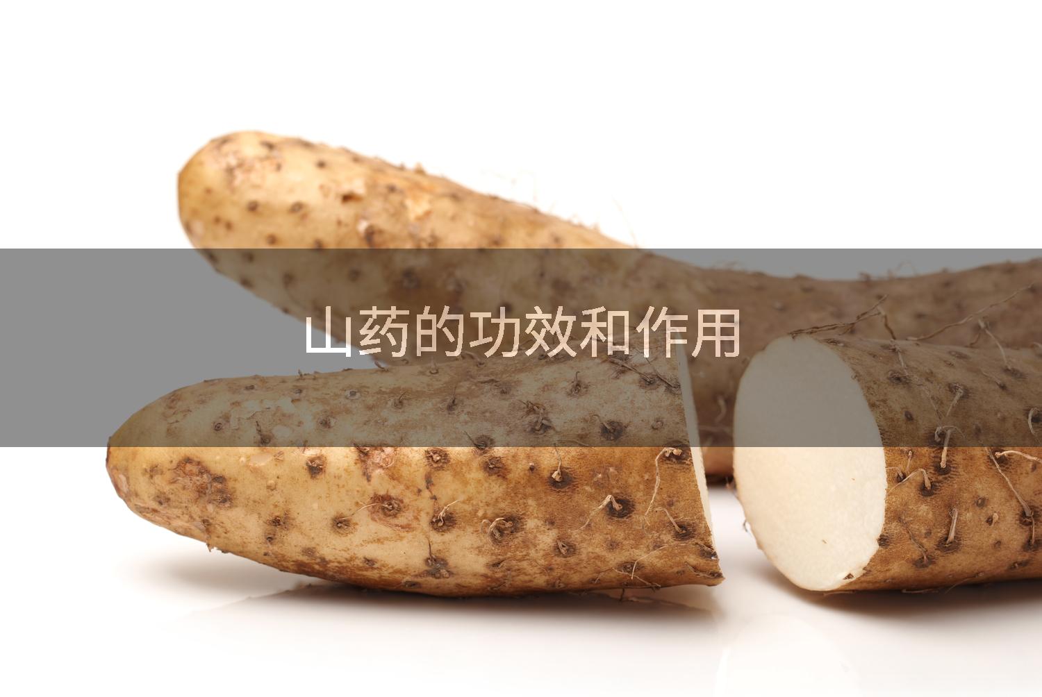 山药的功效和作用