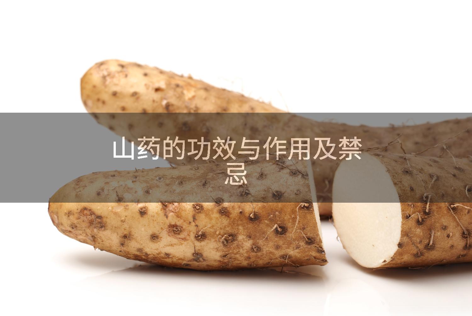 山药的功效与作用及禁忌