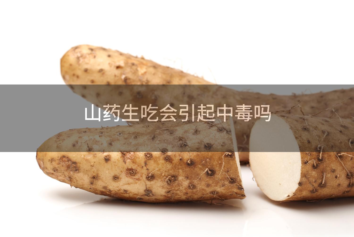 山药生吃会引起中毒吗
