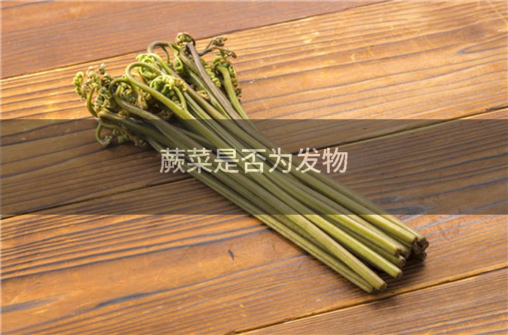蕨菜是否为发物